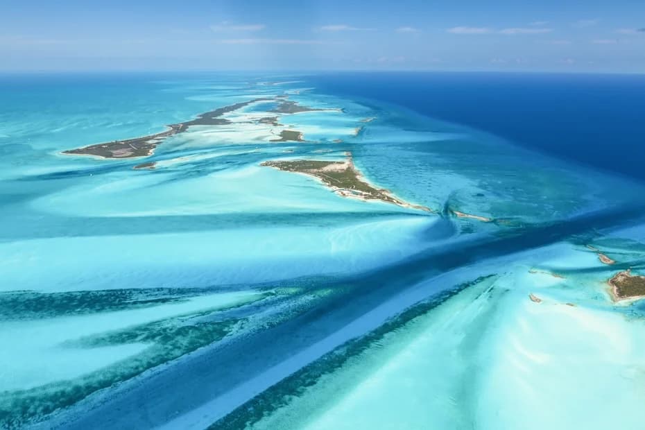 Swimming pigs in crystal clear waters of the Bahamas